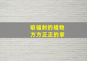 吸辐射的植物 方方正正的掌